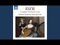 Lute Suite in E Minor, BWV 996: I. Prelude