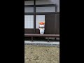 ひこにゃん　雨降りのカウントダウンはタンバリン