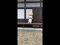 ひこにゃん　雨降りのカウントダウンはタンバリン