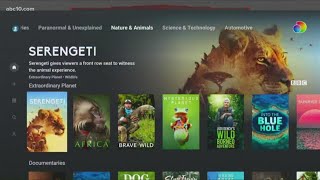New streaming service Discovery+ launches | Entertainment News