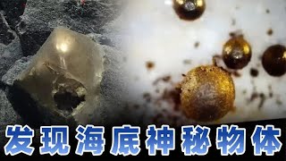 海洋学家在海底发现神秘金球 外表酷似异性虫卵 可能起源太阳系外