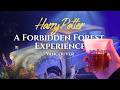 🪄 Walking Through the Forbidden Forest at Night | Harry Potter Experience Vancouver