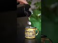 French Press Pour | Bona Coffee Roasters