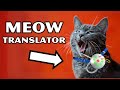 Revolutionary Cat Tech | Essential AI Gadgets for Cat Owners!