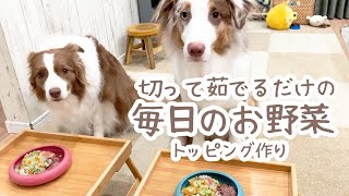 わんこ用のミックスベジタブルのストック作っていきます😋✨【手作りごはん・トッピング】