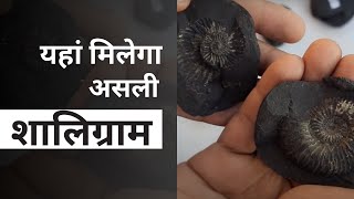 Yhan Milega Asli Shaligram / damodar kunda, Original Saligram #Yashvriddhi