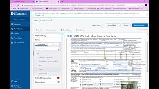 Form 1040 ProConnect How To