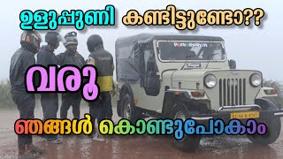 കണ്ടു മലനിര🏔️ കണ്ടു താഴ്‌വര⛰️| ഇടുക്കിയുടെ മടിതട്ടിലേക്ക് ഒരു യാത്ര| Uluppunni Hill Top Wagamon