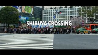 The Shibuya Crossing Experience  | A Travel Movie  | 渋谷スクランブル交差点