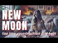 New Moon Meditation NOVEMBER 2024 | Experience Deep Healing Under the New Moon 🌑 Life-Changing!