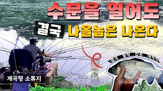 수문을 열고 배수해도 나올 붕어는 나온다고!! 계곡지 낚시를 선택한 이유는??