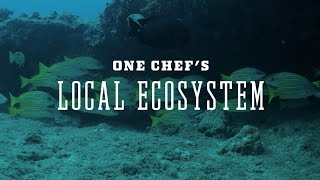 One Chef's Local Ecosystem | YETI Dispatch