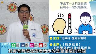 【尿路結石】不明腰痛合併發燒莫輕忽/盧則宏醫師