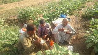 Refreshment In Village Life  || Rural life In Pakistan ||  Pind Life ||  Punajb village Life