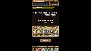 【パズドラ】ドラゴンゾンビ周回 [初心者向け] サレ×サレ