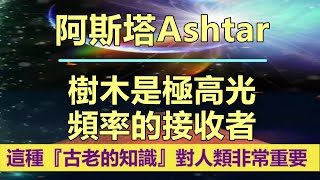 通靈信息【阿斯塔】樹木是極高光頻率的接收者；這種『古老的知識』對人類非常重要，將更新「地球」和人類。