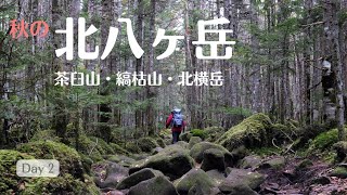 【秋の北八ヶ岳】麦草ヒュッテ～茶臼山～縞枯山～北横岳を巡るゆるふわハイク（day2）4K〔＃44〕