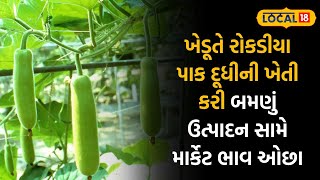 Agriculture News | ખેડૂતે દૂધીની ખેતી કરી મેળવ્યું બમણું ઉત્પાદન | Bottle Ground | #local18