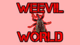 Welcome to Weevil World