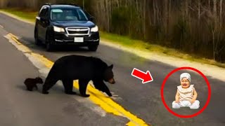 He Threw His Son In The Road But What The Bear Did Was Amazing！