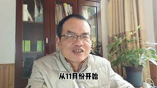 猪价怎么出了幺蛾子？或是这3个原因，春节前或有反弹机会