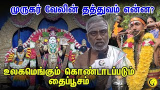 முருகர் வேலின் தத்துவம் என்ன? உலகமெங்கும் கொண்டாடபடும் தை பூசம் | Thai Poosam Festival