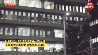 河北邯郸魏县农业局大门口处惊现:不穿衣大包美貌女,老司机直流口水