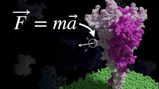 Bringing Biology’s Molecules to Life Using Physics