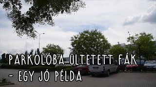 Parkolóba ültetett fák - egy jó példa