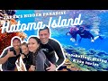 Exploring Hatoma Island (Okinawa) | Swimming with turtles