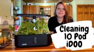 Cleaning The 10 Pod iDoo Hydroponics System | Lettuce 4 Week Update | EverCrest