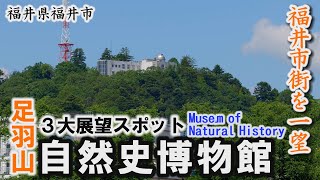 福井市３大展望スポット足羽山「自然史博物館」～福井市【動画紀行・福井県】 Fukui City Museum of Natural History