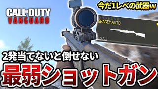 【COD:V】今だに武器レベル1のショット『GRAYCEY AUTO』でなかなか無双した件についてｗｗ【最弱】