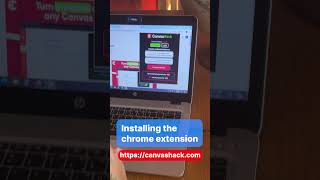 How To Cheat On All Canvas Tests Shorts Canvashack
