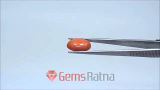 Natural Red Coral (Moonga) gemstone 11.30 Carat [GRRC00038] | GemsRatna.com