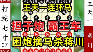 象棋神少帅：财神杯 王天一连环马 担子炮 霸王车 困炮擒马杀蒋川