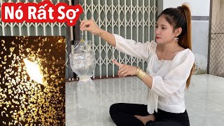 Đặt Thứ Này Trong Nhà Bồ Hóng, Thiêu Thân Rất Sợ /Cách Diệt Sạch  Bồ Hóng Thiêu Thân Trong 5 Phút