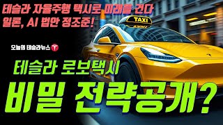 테슬라 로보택시 비밀 전략 공개?  테슬라 자율주행 택시로 미래를 건다! 일론 머스크, AI 법안 정조준?