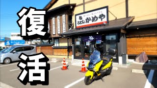 【マジェsランチ】やり過ぎたぁ～。うどん「かめや」でやり過ぎてしまいました。