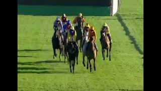 Horse Racing Death 206 - Ballydague Lady at Southwell Racecourse