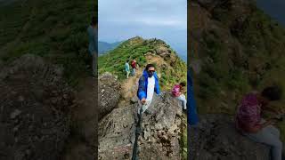 Kurseong gidda pahar view point #shorts #youtubeshorts #kurseong