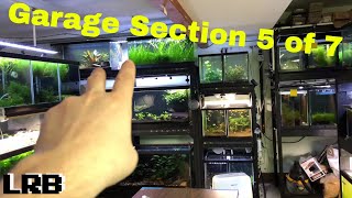 My BIGGEST Fish Room! The Garage Section 5 of 7