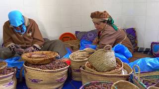 Afous Argan Oil Extraction and Production - Essaouira - Morocco