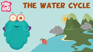 The Water Cycle | The Dr. Binocs Show | Learn s For Kids