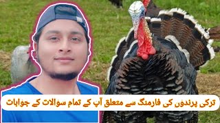 Turkey Farming Par Apkay Sawalat K Jawabat ❤️