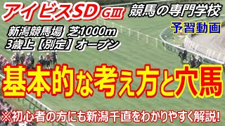 【アイビスサマーダッシュ2023】予習動画 初心者の方にも新潟千直を詳しく解説 穴馬のパターン