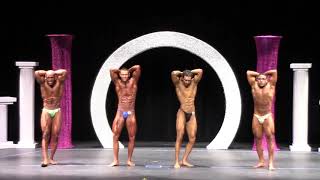 Men's Bodybuilding Overall 2018 NGA Ultimate Physique Championship