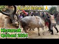 Khatarnak Chand bail ki Qurbani 2024😱| Yeh kia hogaya🤔