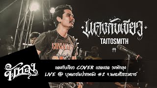 แดงกับเขียว - cover by วงพัทลุง [ Original : TaitosmitH ]