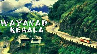 Wayanad Tourism I Kerala I Beauty of  Wayanad -വയനാടൻ കാഴ്ച്ചകൾ - Wayanadan Kazhachakal -  വയനാട്